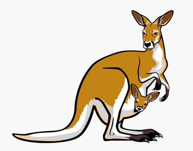 Detail Free Kangaroo Clipart Nomer 49