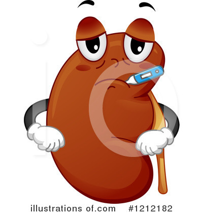 Detail Free Kidney Clip Art Nomer 21