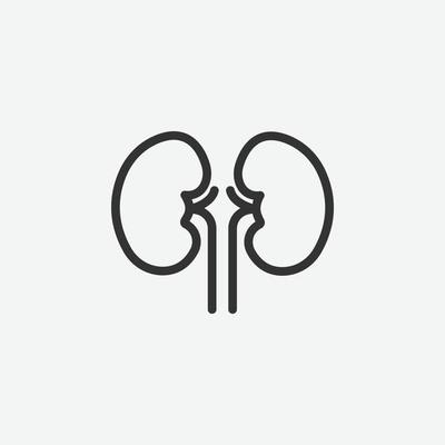 Detail Free Kidney Clip Art Nomer 32