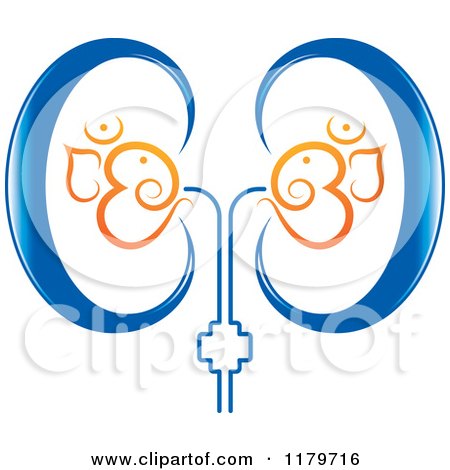 Detail Free Kidney Clip Art Nomer 38