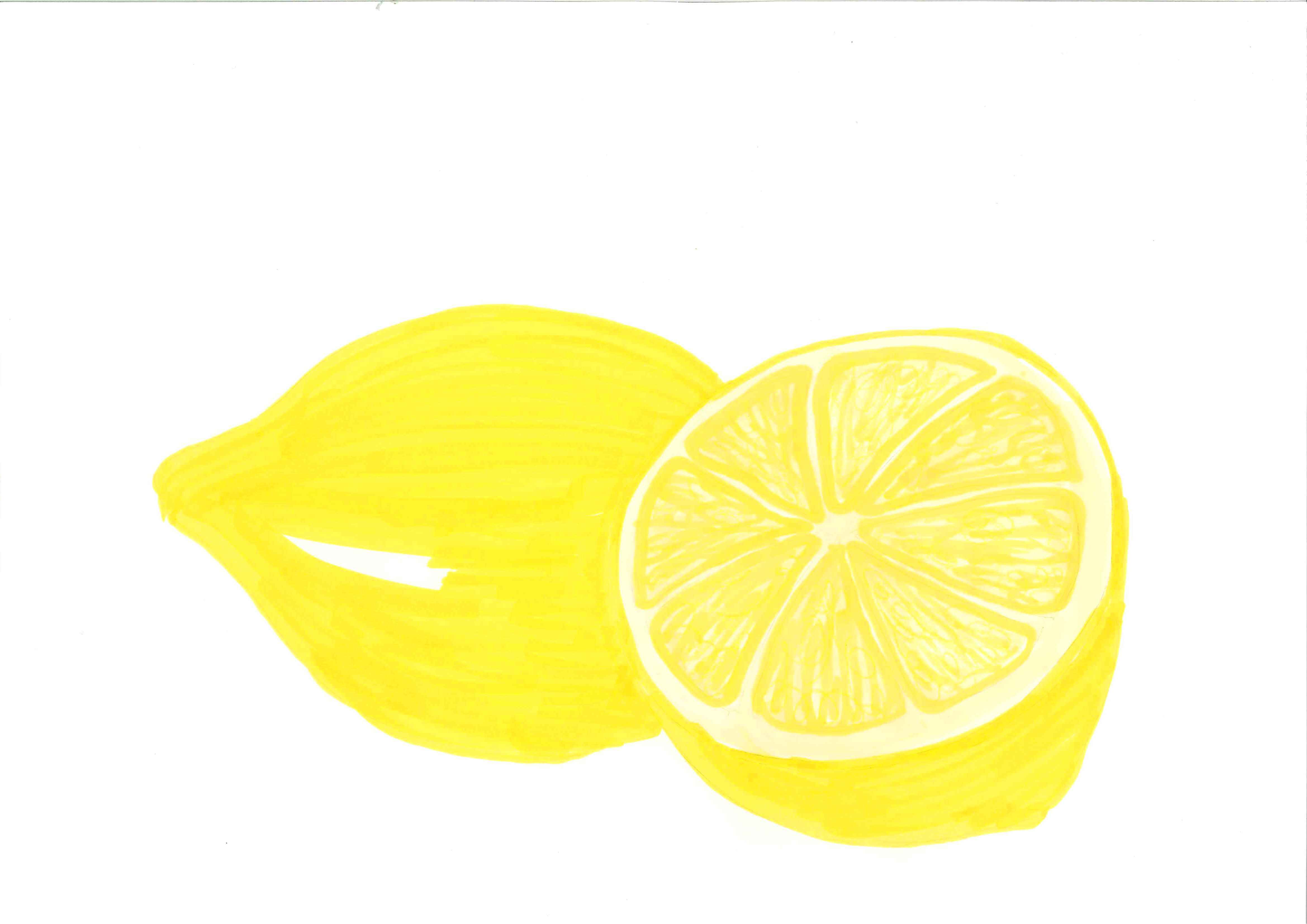 Detail Free Lemon Clipart Nomer 37