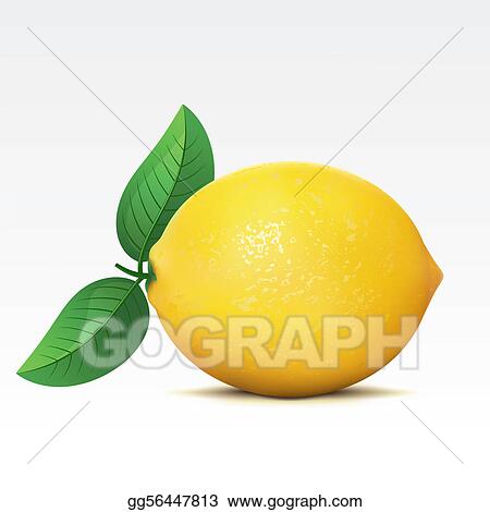 Detail Free Lemon Clipart Nomer 44