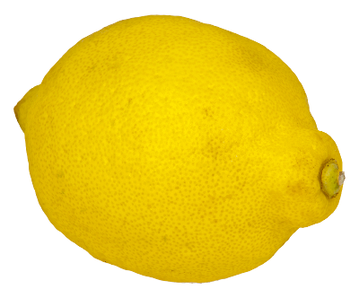 Detail Free Lemon Clipart Nomer 48