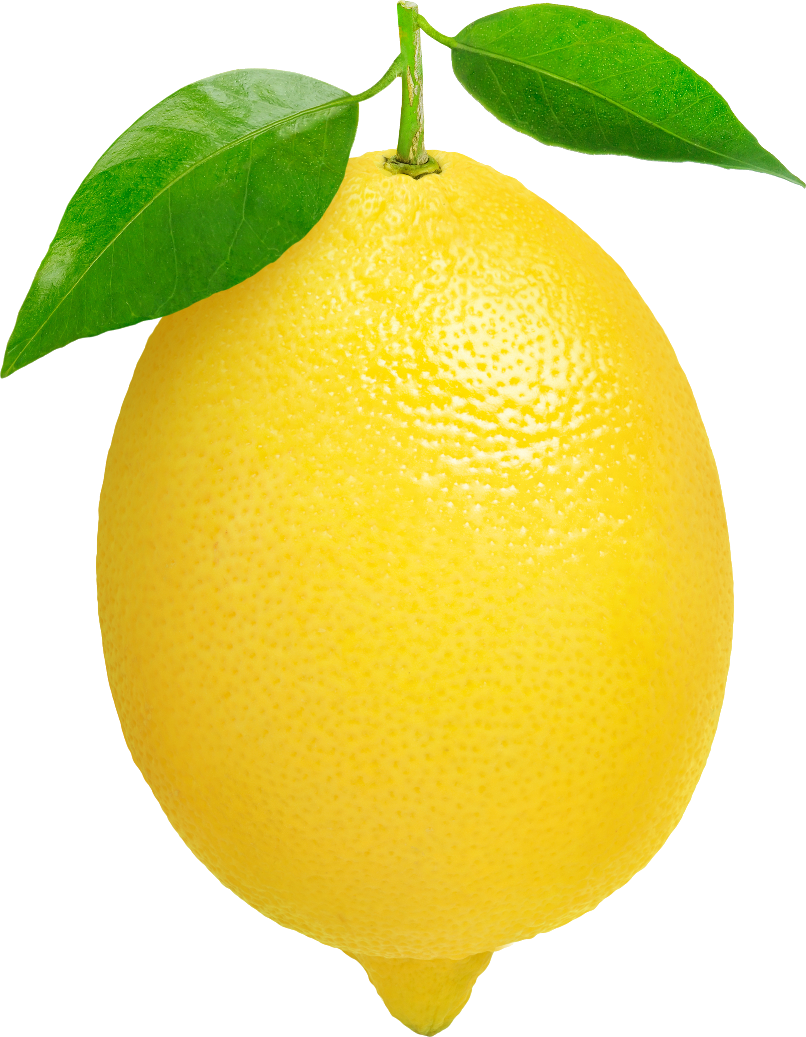 Detail Free Lemon Clipart Nomer 7