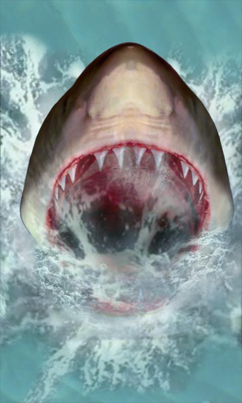 Detail Free Live Wallpapers Sharks Nomer 2