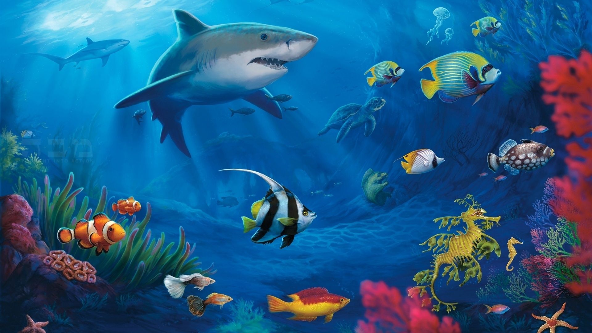 Detail Free Live Wallpapers Sharks Nomer 29