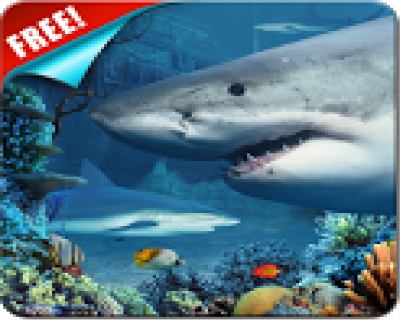 Detail Free Live Wallpapers Sharks Nomer 32