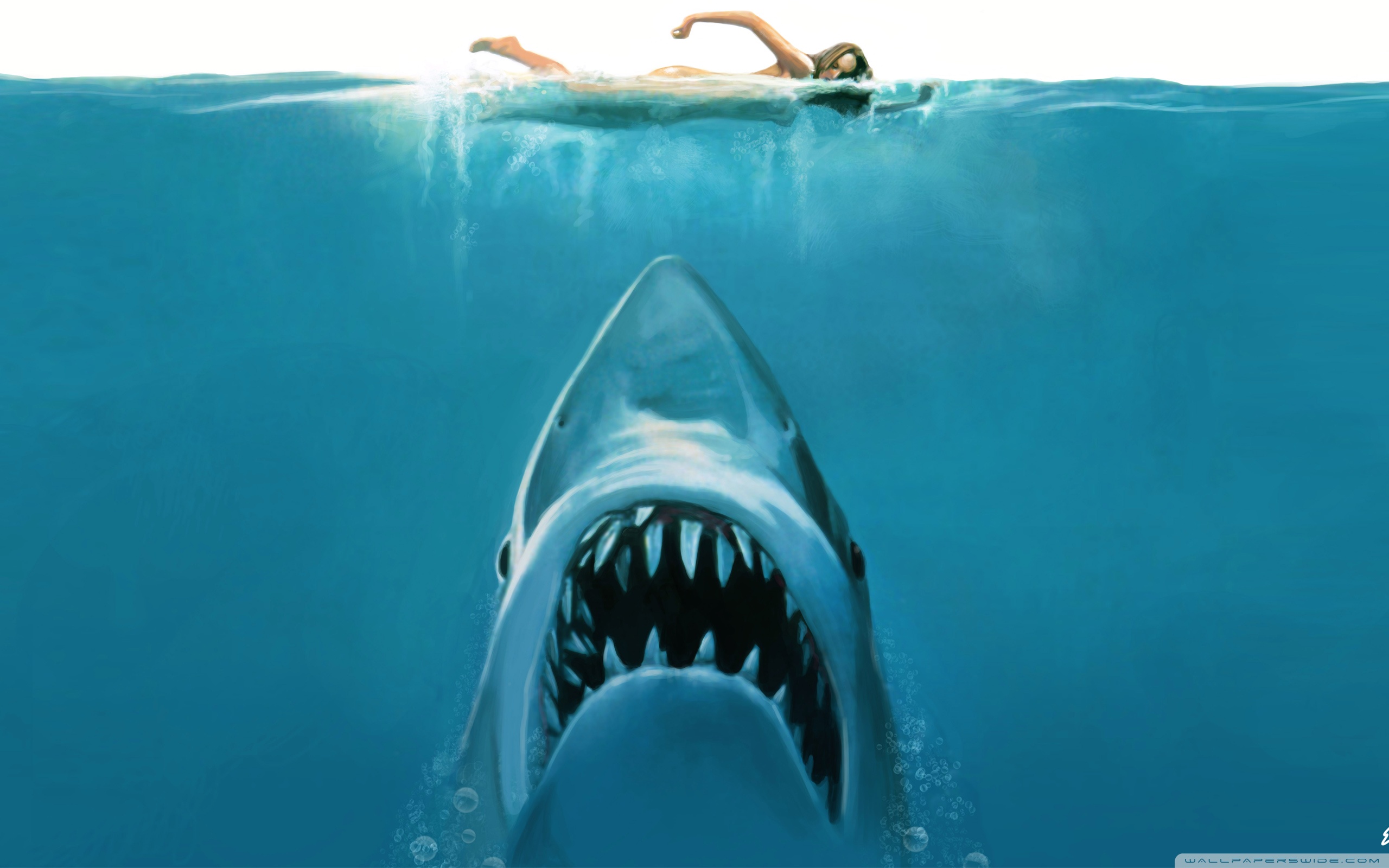 Detail Free Live Wallpapers Sharks Nomer 36