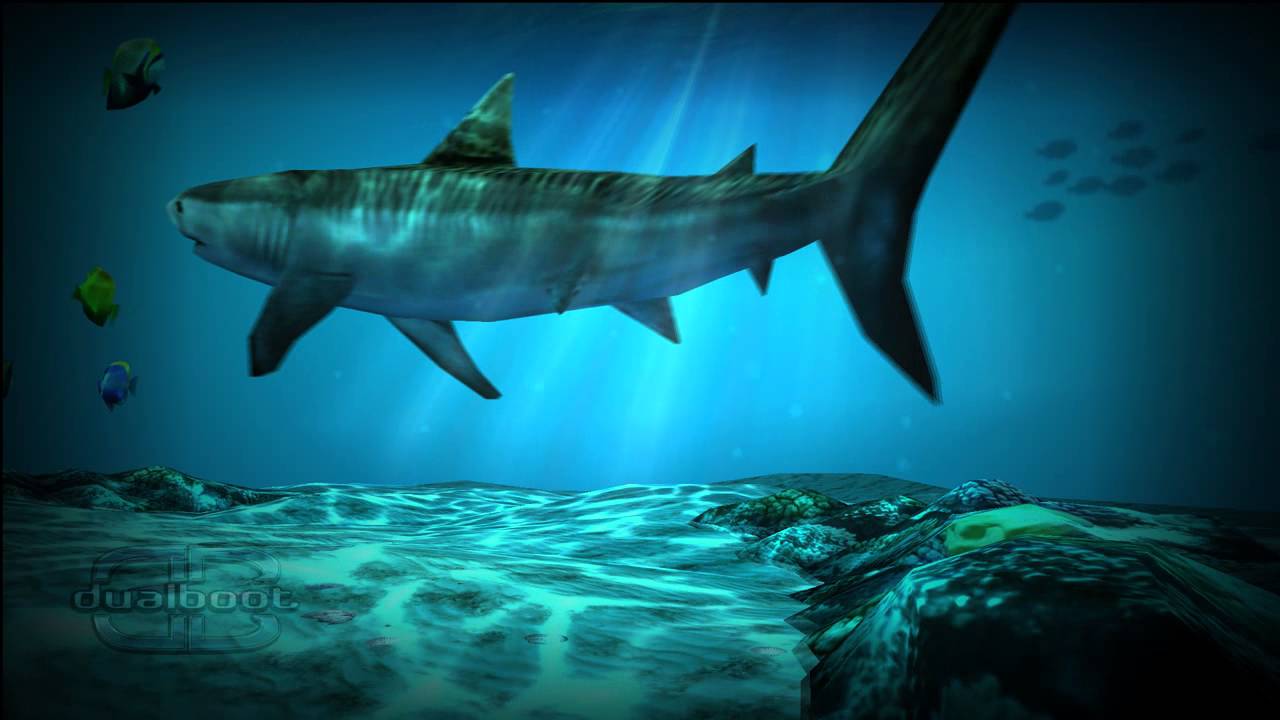 Detail Free Live Wallpapers Sharks Nomer 5