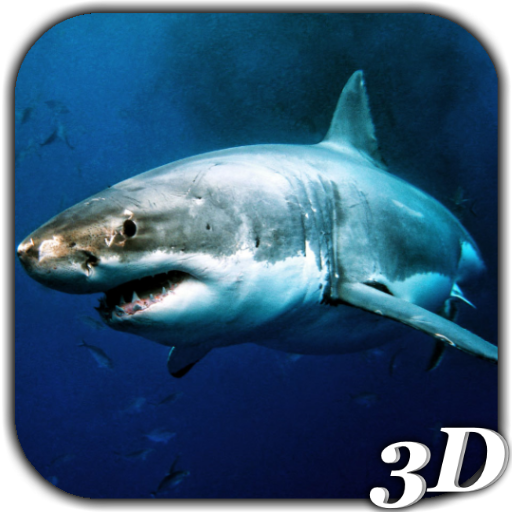 Detail Free Live Wallpapers Sharks Nomer 43