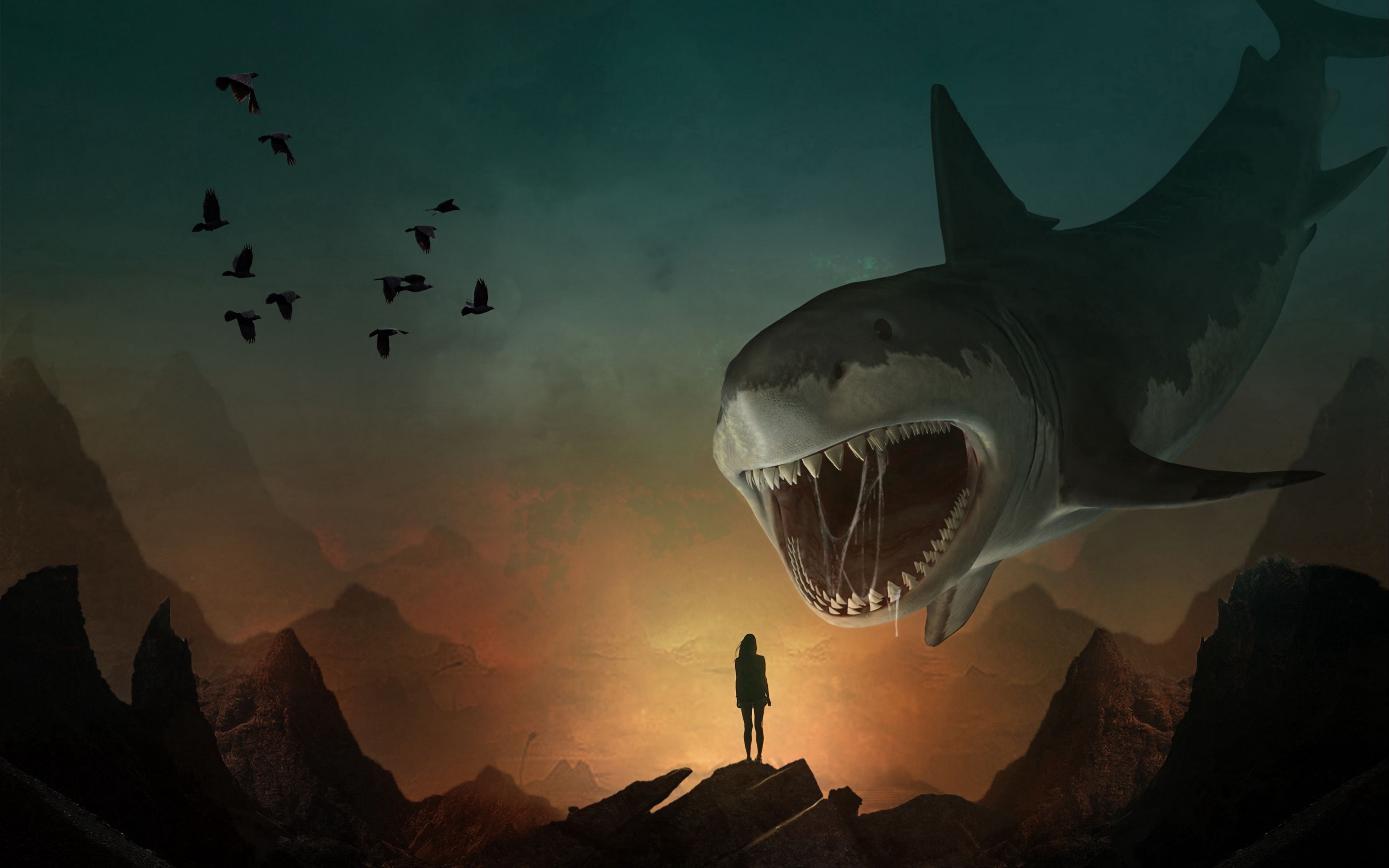 Detail Free Live Wallpapers Sharks Nomer 45