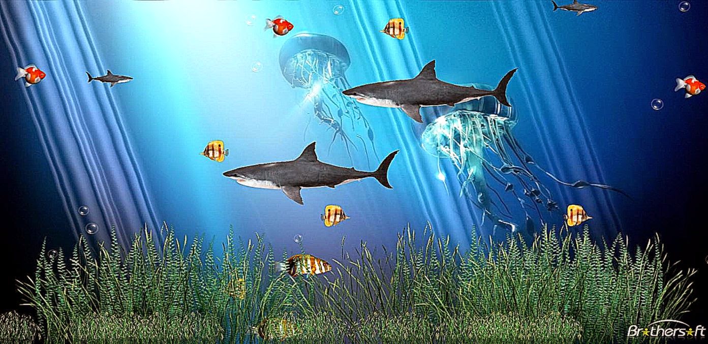 Detail Free Live Wallpapers Sharks Nomer 48