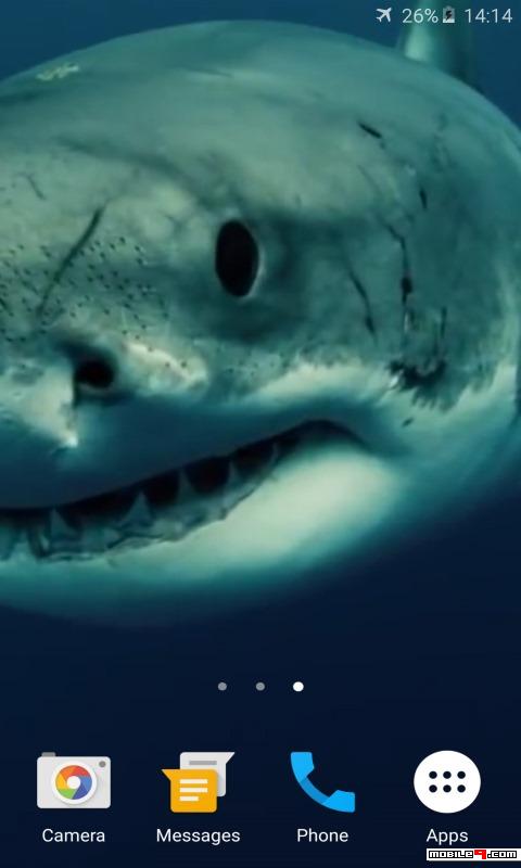 Detail Free Live Wallpapers Sharks Nomer 51