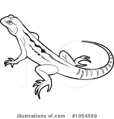 Detail Free Lizard Clip Art Nomer 10