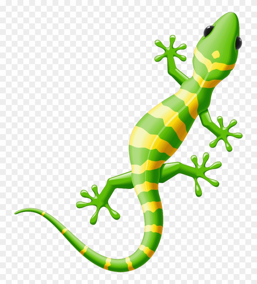 Detail Free Lizard Clip Art Nomer 4