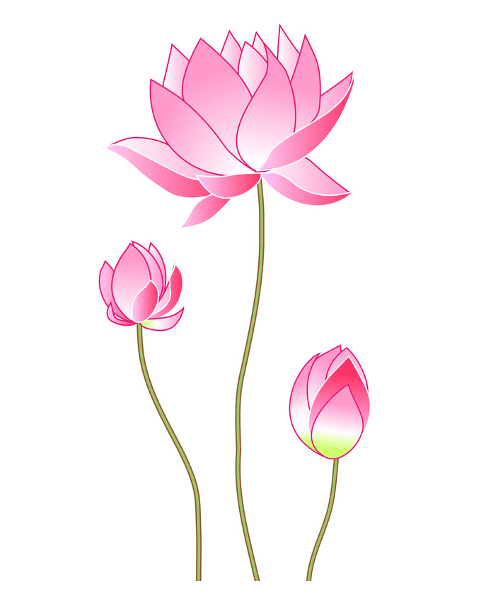 Detail Free Lotus Flower Clip Art Nomer 16