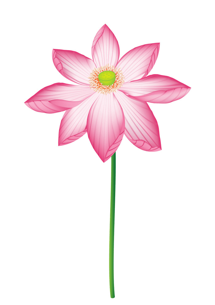 Detail Free Lotus Flower Clip Art Nomer 45