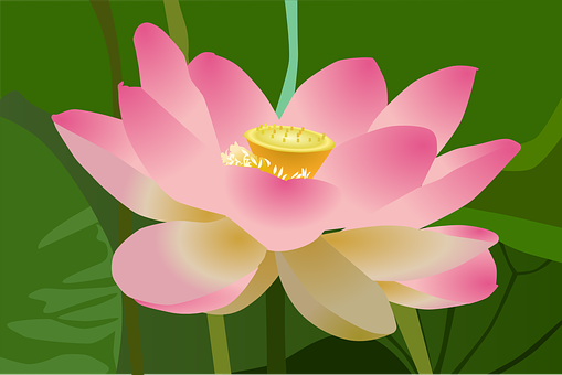 Detail Free Lotus Images Nomer 16