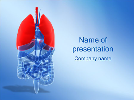 Detail Free Lung Powerpoint Template Nomer 19