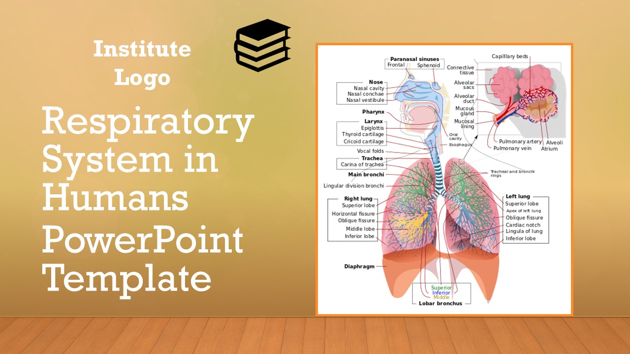 Detail Free Lung Powerpoint Template Nomer 26