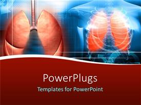 Detail Free Lung Powerpoint Template Nomer 8