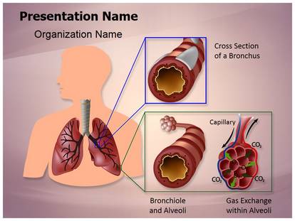 Detail Free Lung Powerpoint Templates Nomer 50