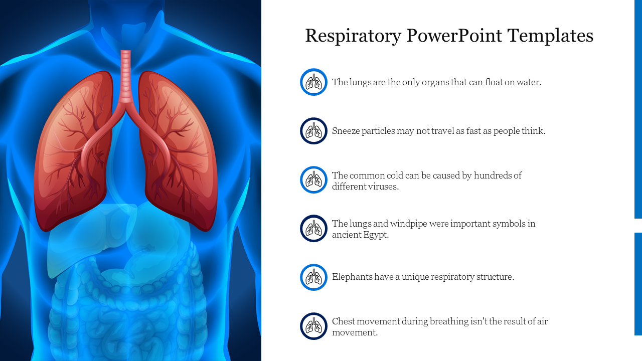 Detail Free Lung Powerpoint Templates Nomer 54