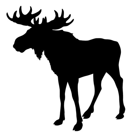 Detail Free Moose Clipart Nomer 12