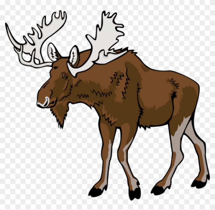 Detail Free Moose Clipart Nomer 16
