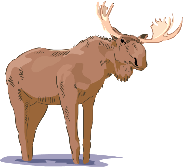 Detail Free Moose Clipart Nomer 27