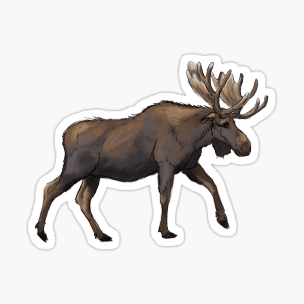 Detail Free Moose Clipart Nomer 28