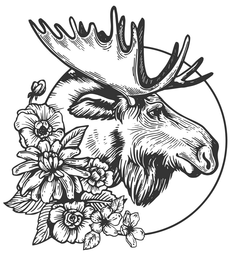 Detail Free Moose Clipart Nomer 39