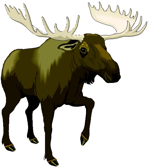 Detail Free Moose Clipart Nomer 40