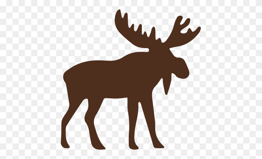 Detail Free Moose Pictures Nomer 30