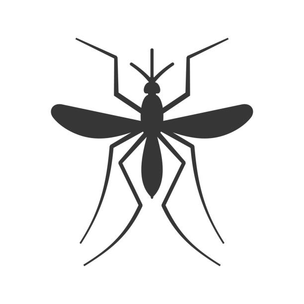 Free Mosquito Clip Art - KibrisPDR