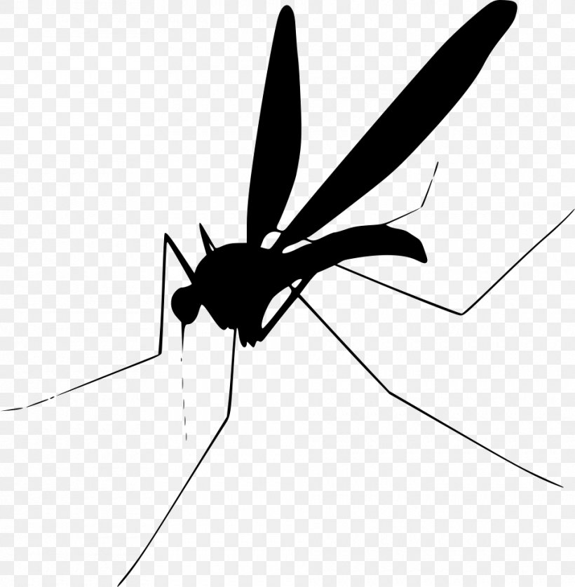 Detail Free Mosquito Clip Art Nomer 17