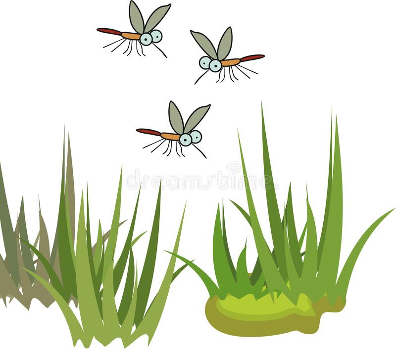 Detail Free Mosquito Clip Art Nomer 24