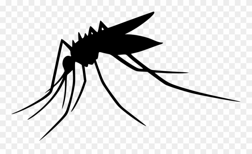 Detail Free Mosquito Clipart Nomer 14