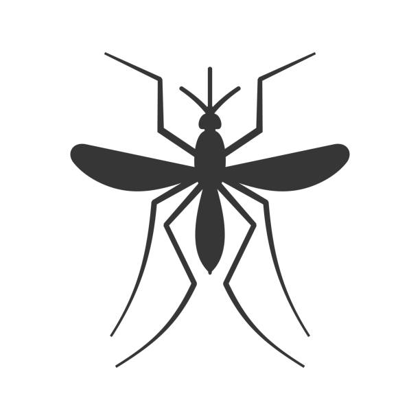 Free Mosquito Clipart - KibrisPDR