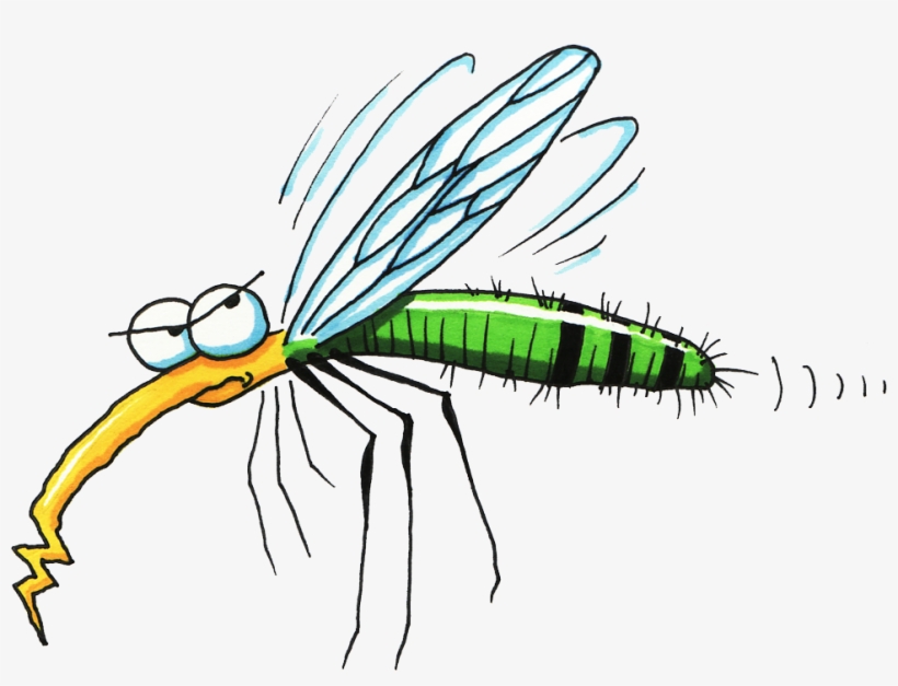 Detail Free Mosquito Clipart Nomer 29