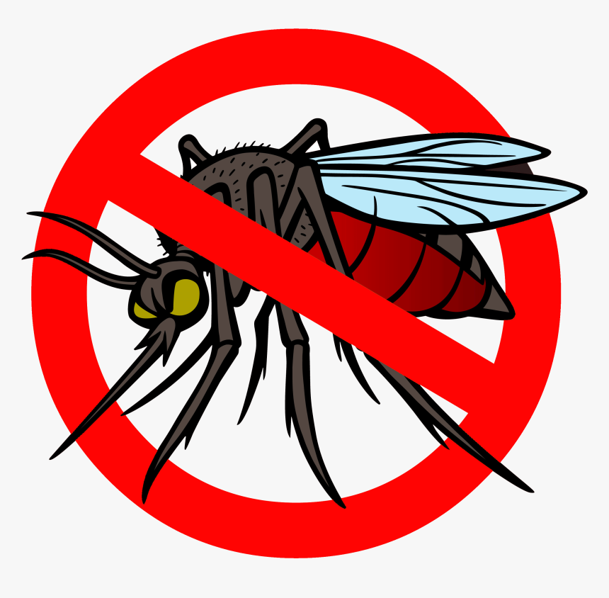 Detail Free Mosquito Clipart Nomer 32