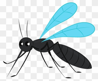 Detail Free Mosquito Clipart Nomer 7