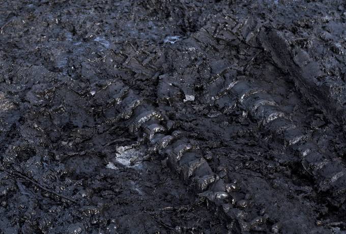 Detail Free Mud Nomer 12