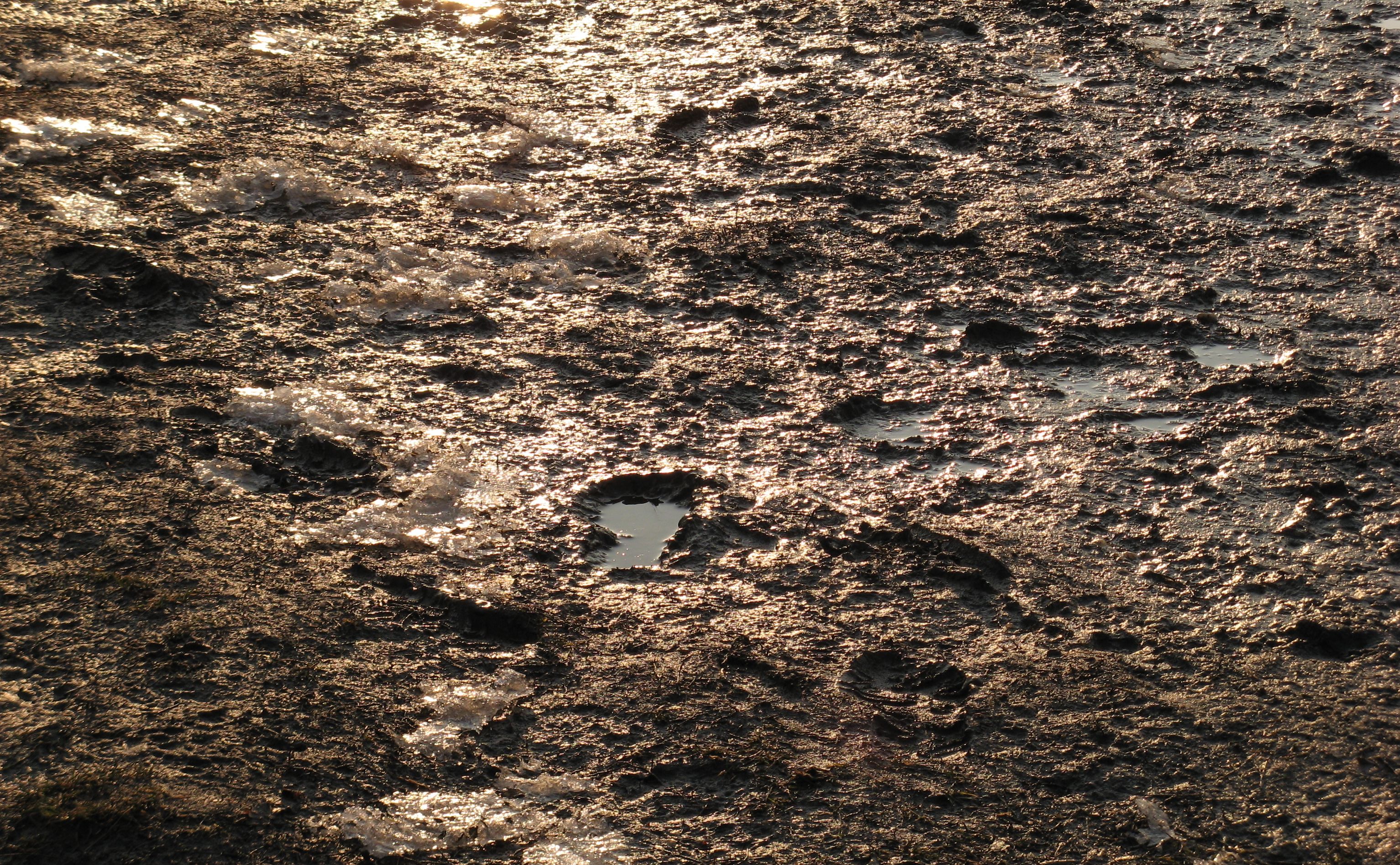 Detail Free Mud Nomer 7