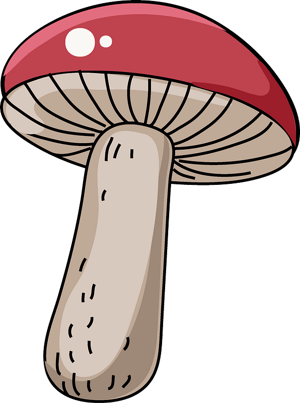 Detail Free Mushroom Clipart Nomer 22