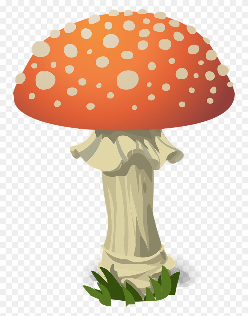 Detail Free Mushroom Clipart Nomer 28