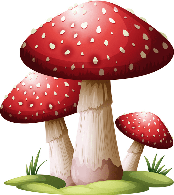 Detail Free Mushroom Clipart Nomer 5