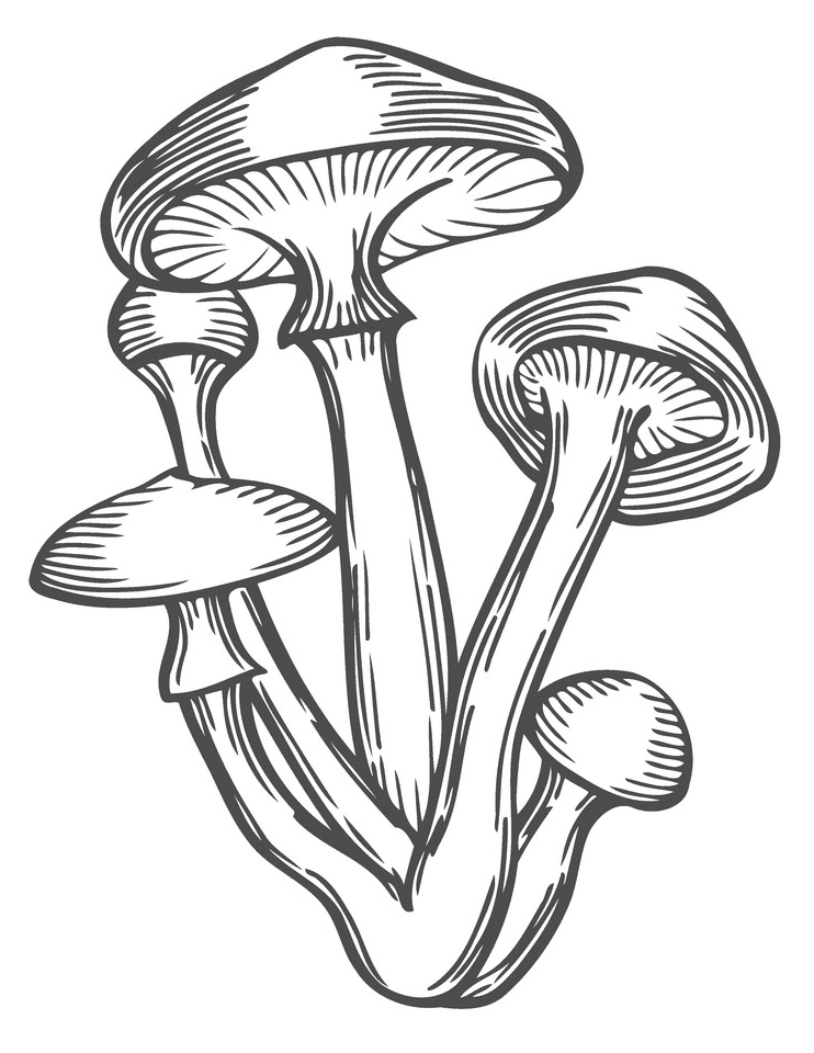 Detail Free Mushroom Clipart Nomer 45