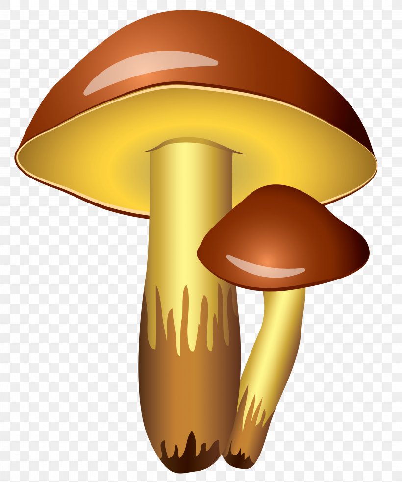 Detail Free Mushroom Clipart Nomer 48