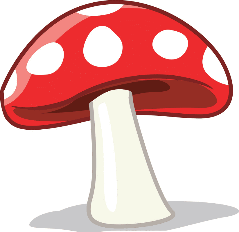 Detail Free Mushroom Images Nomer 12